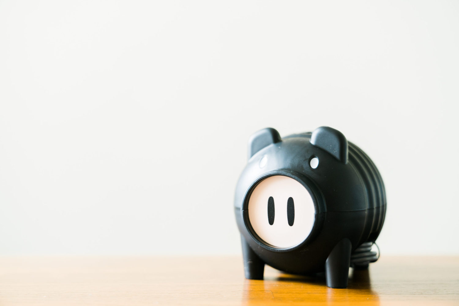 今年はアースノーマットの 蚊取り黒ブタ と共闘することにする ユウマガ