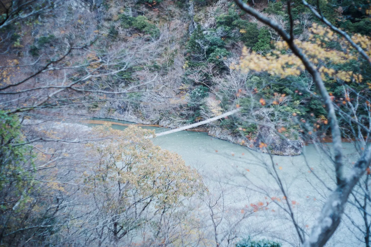 大井川最後の秘境 晩秋の寸又峡 夢の吊橋 の紅葉がやはり美しかった ユウマガ