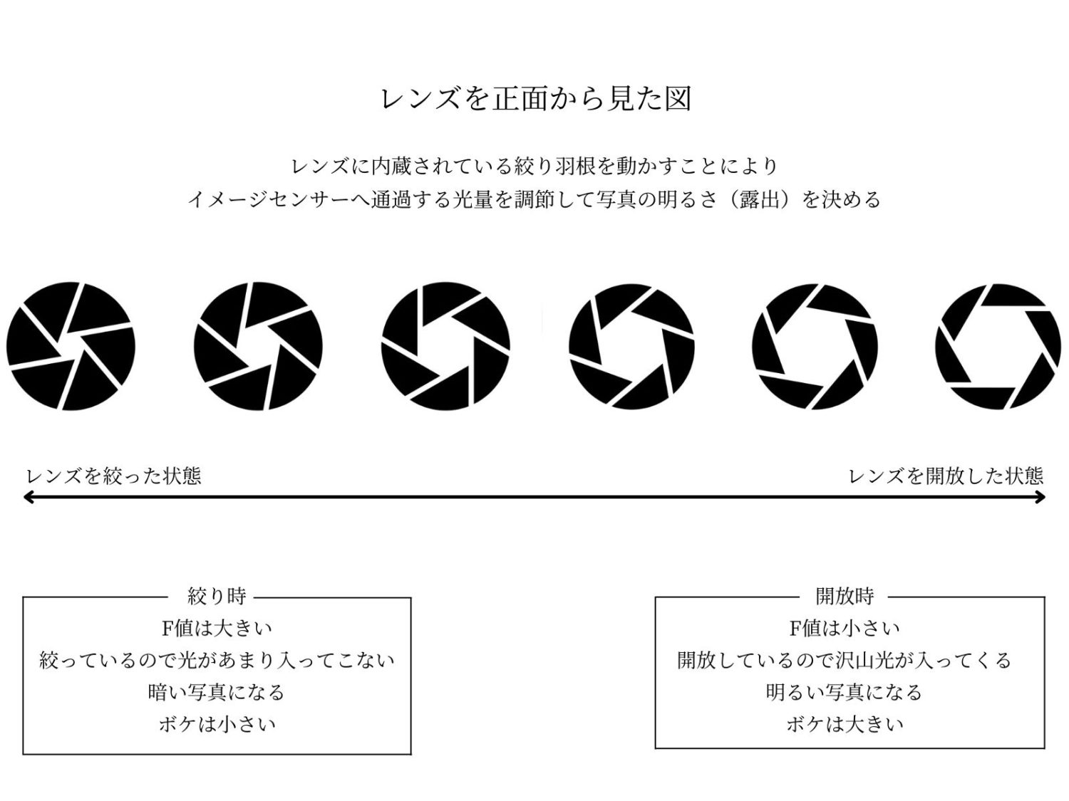 カメラ上達の落とし穴、僕が開放絞りで撮らなくなった理由 | ユウマガ