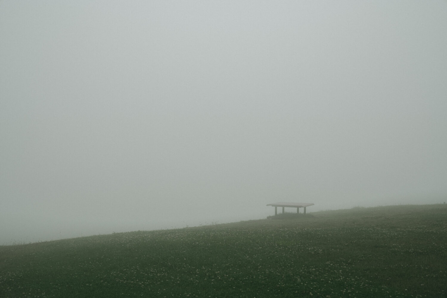 ただのベンチもどこか幻想的に感じる