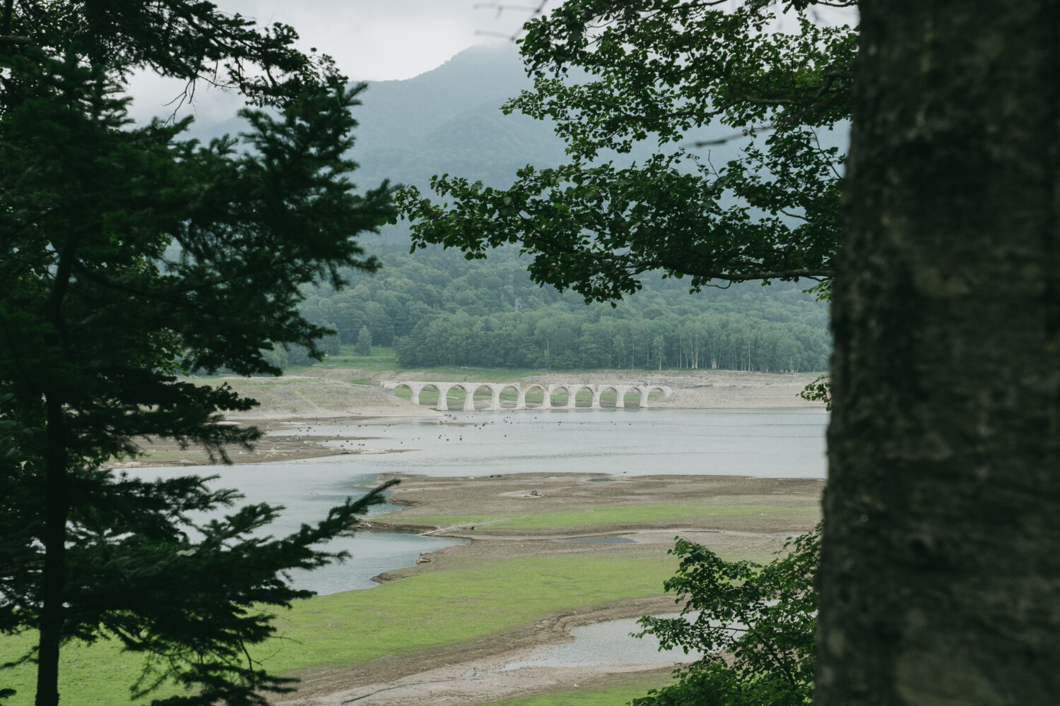 いつ崩壊してもおかしくない程に脆いのが遠くからでもわかる