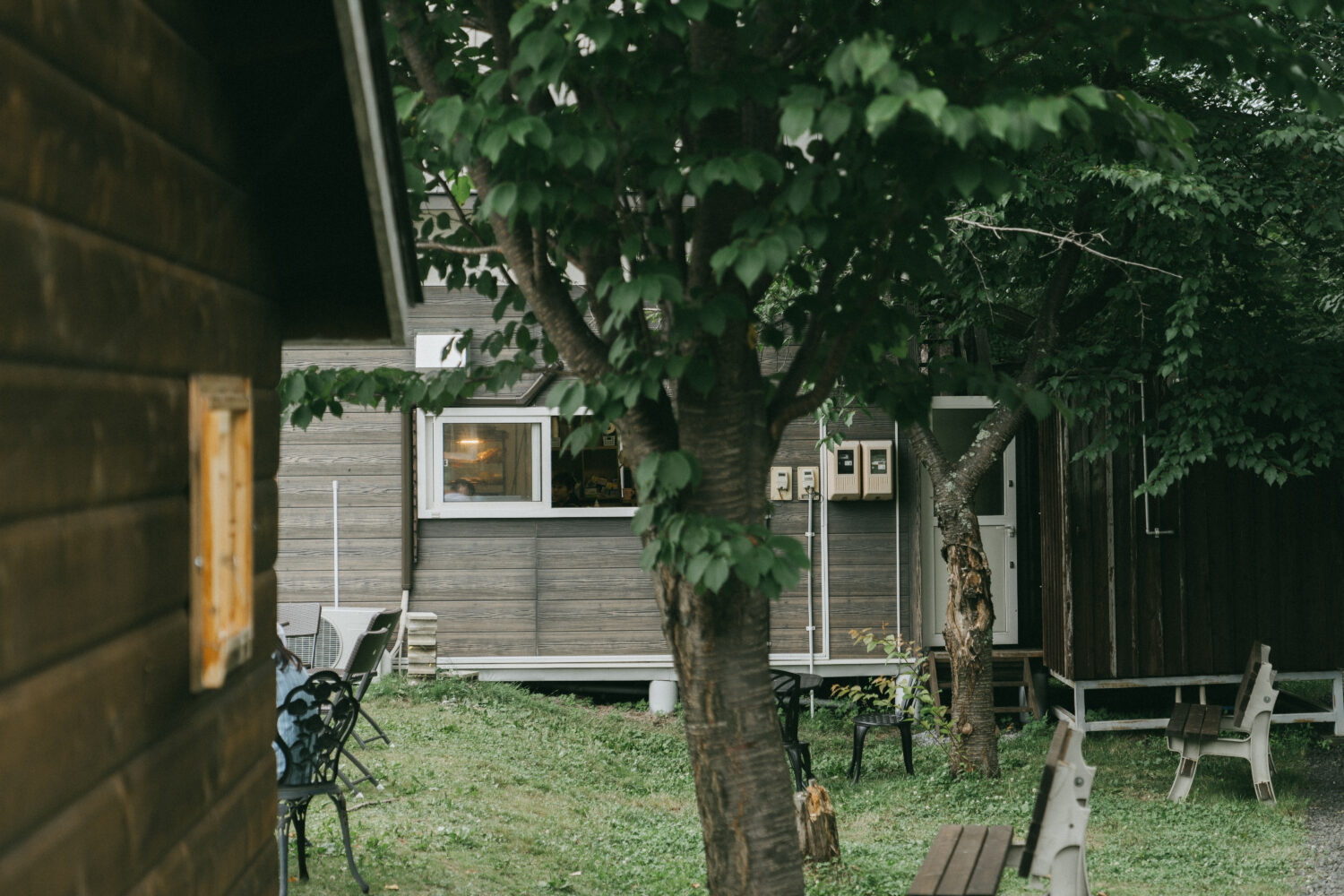 ぼんやりと明かりが灯る売店