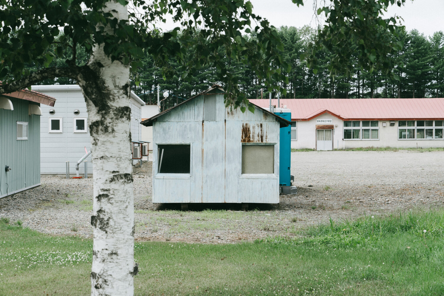 この物静かな雰囲気たまらんなぁ