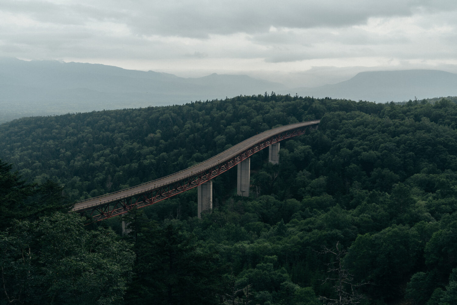 赤い色が映えます