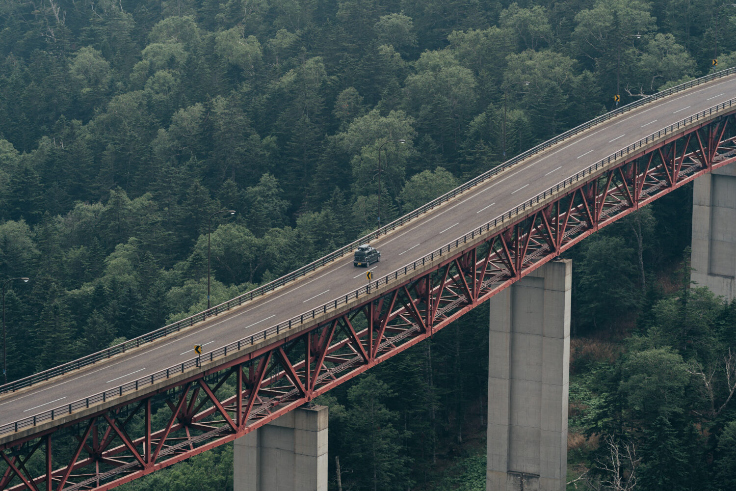 135m m望遠レンズで撮るのも面白い